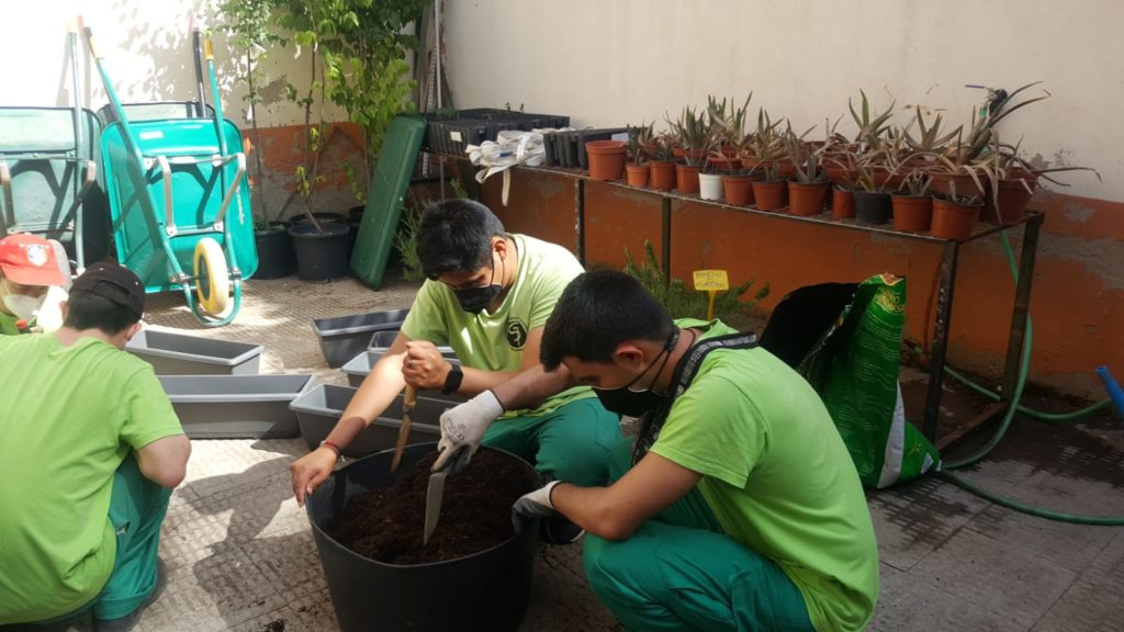 Proyecto STEAM - Imagen 11